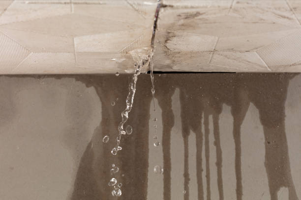 Professional Structural Drying technician working in Fountain, MN
